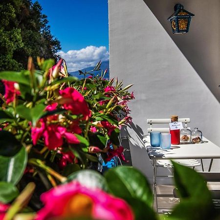 Donedua B&B Vico Equense Eksteriør bilde
